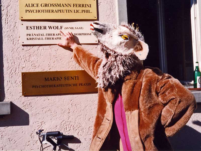 schaaf 5