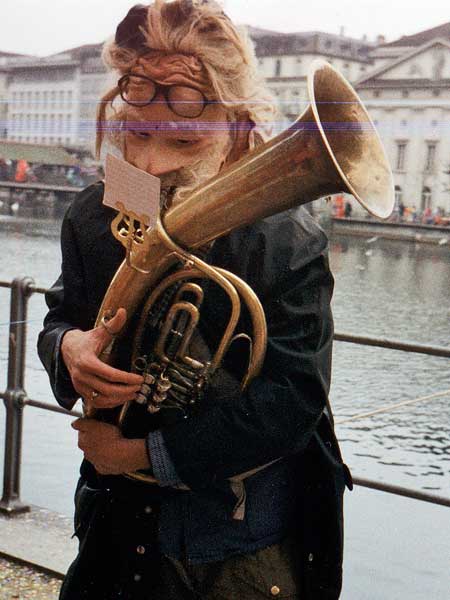 tenorhorn