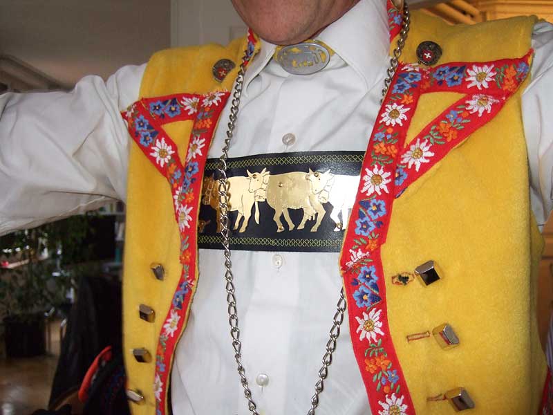 fasnacht 2008