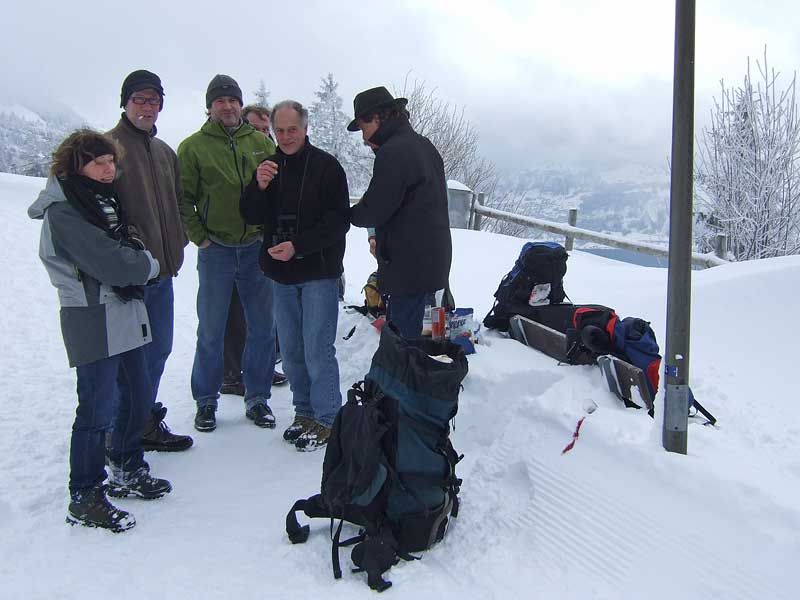 f&ouml;teli rigi