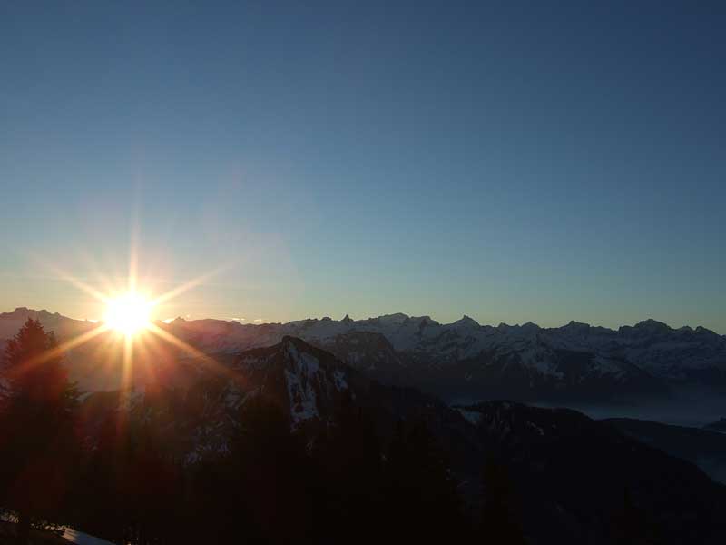 föteli rigi